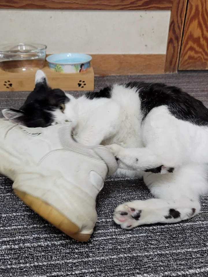 계양 4