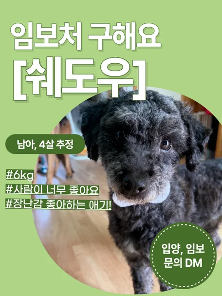 쉐도우