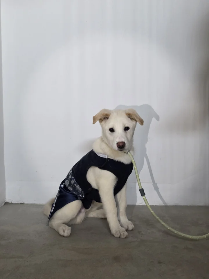 결이 15