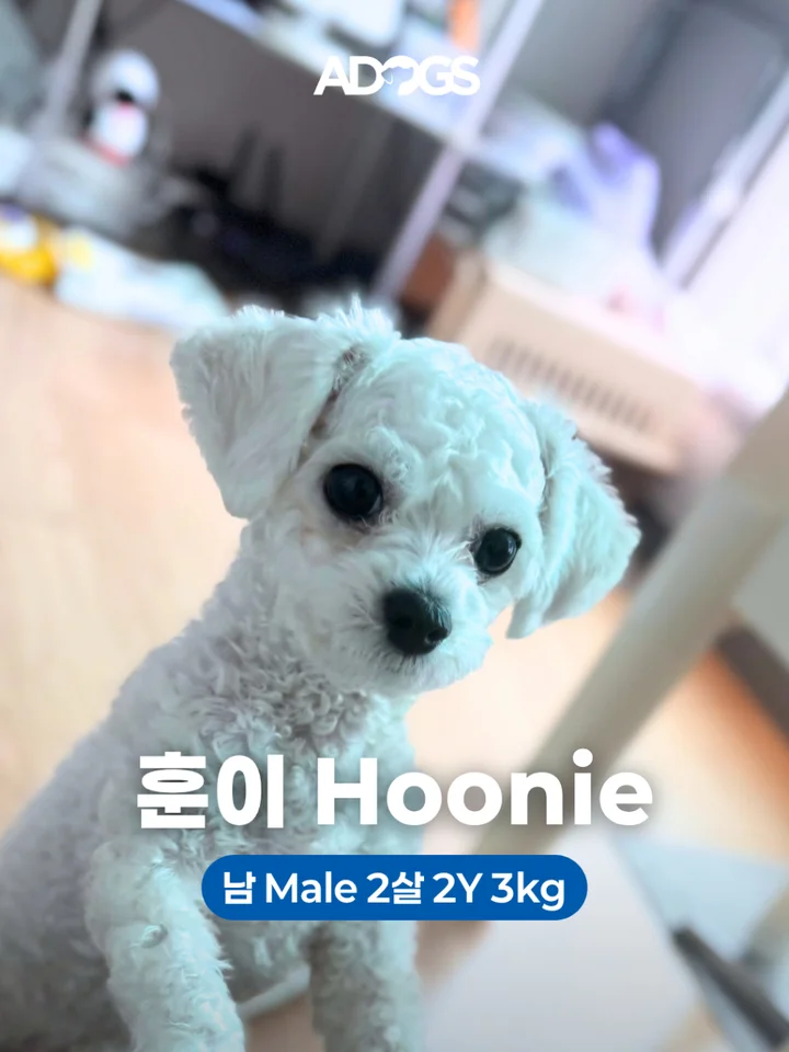 훈이 1
