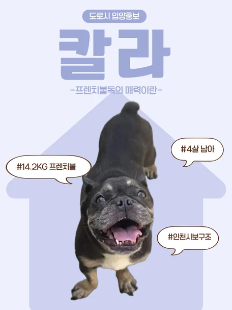 칼라