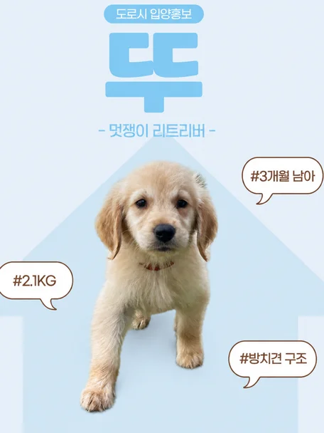뚜