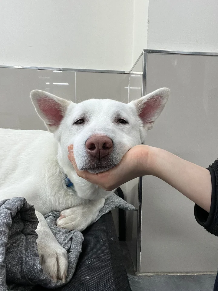 순남이 3