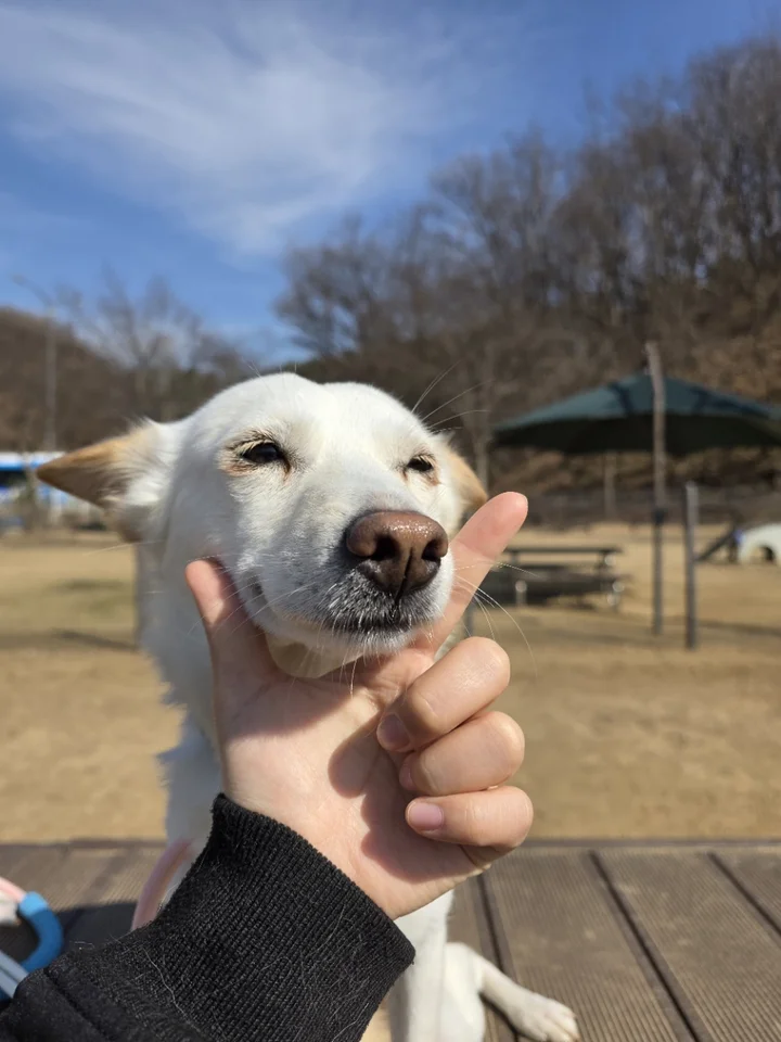 백희 7