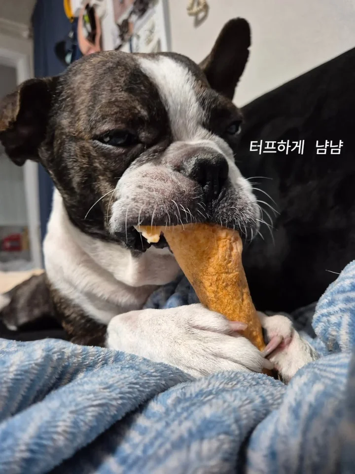 블랑이 2