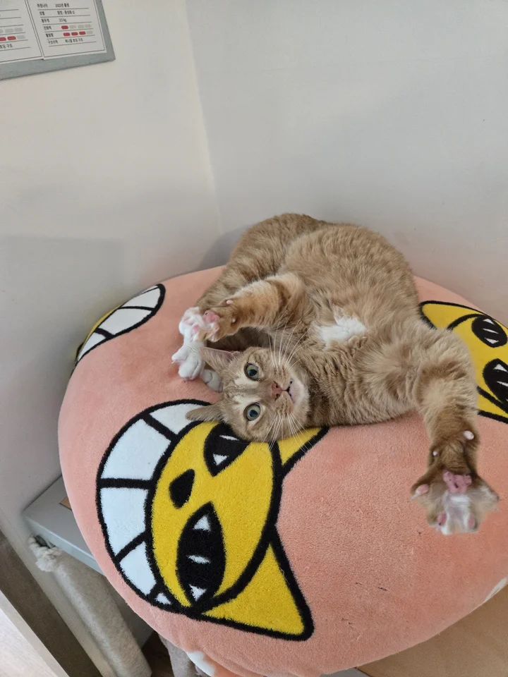 아기 5