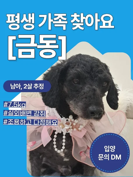 금동