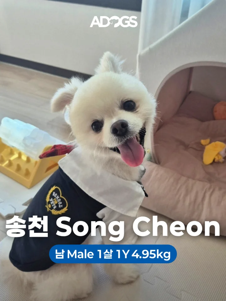 송천 1
