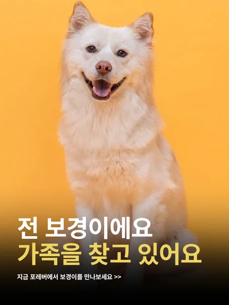 보경이