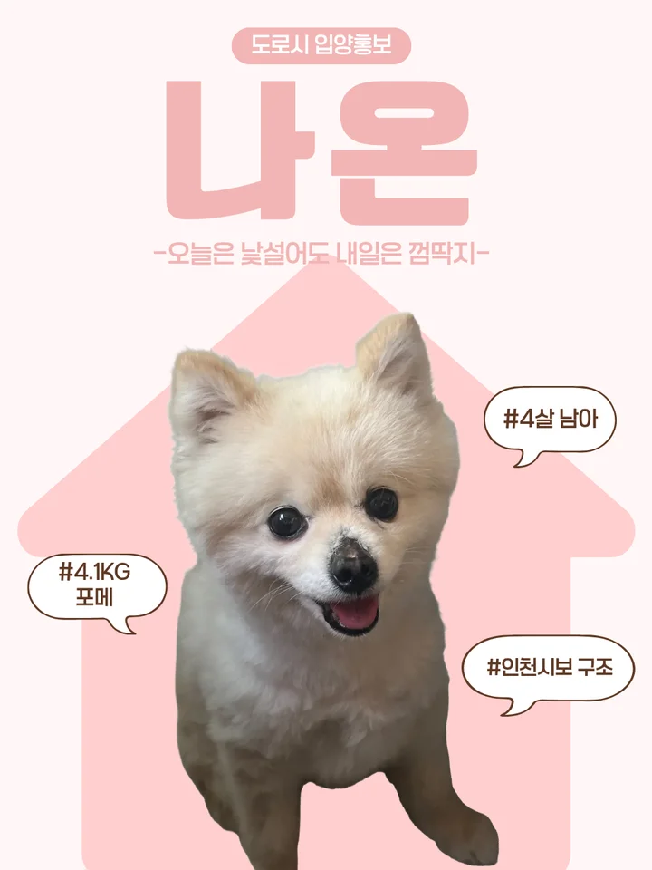 나온
