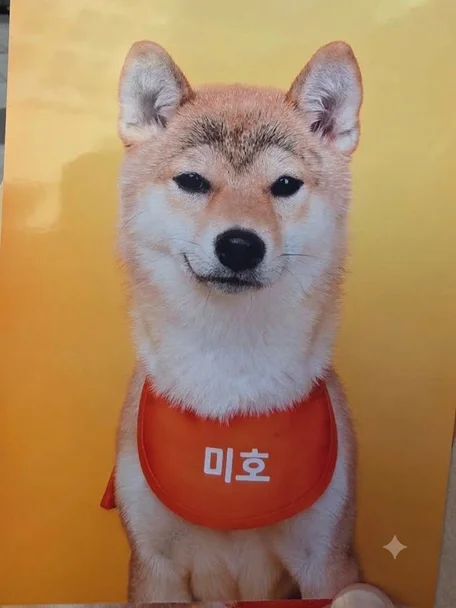 미호