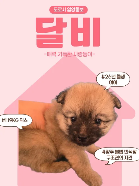달비