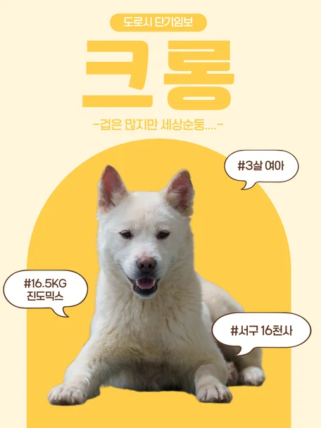 크롱