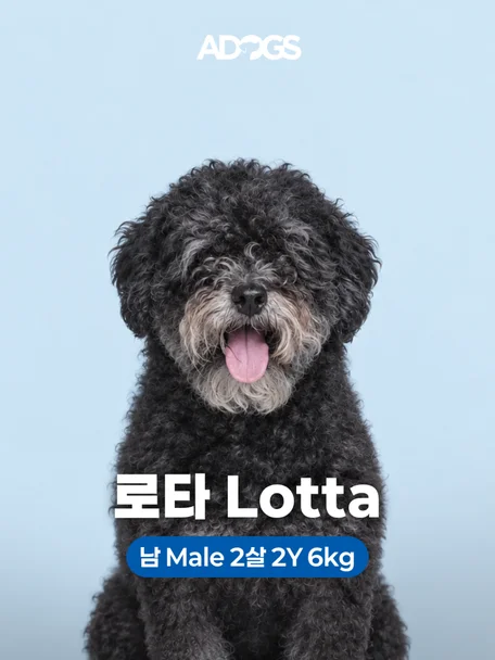 로타