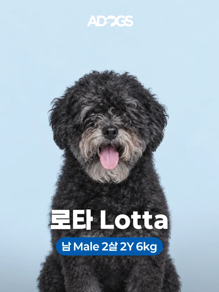 로타 1