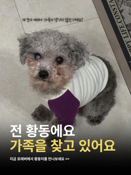 황동이