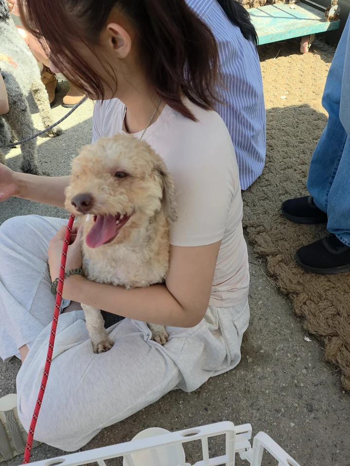 루카 2