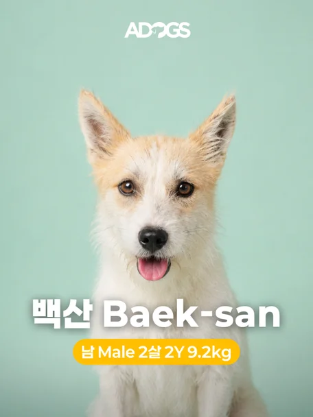 백산