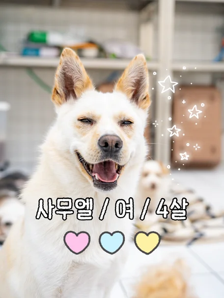 사무엘