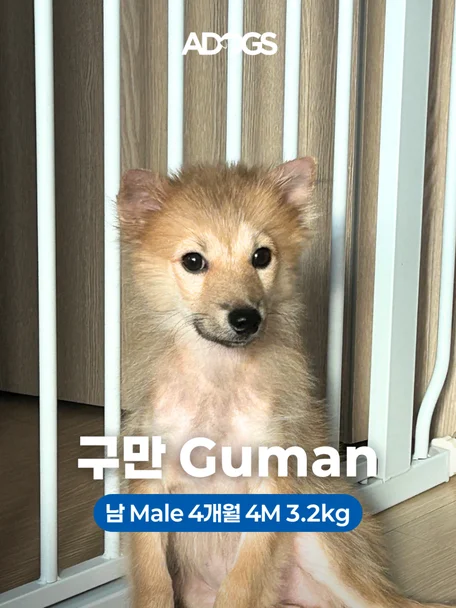 구만