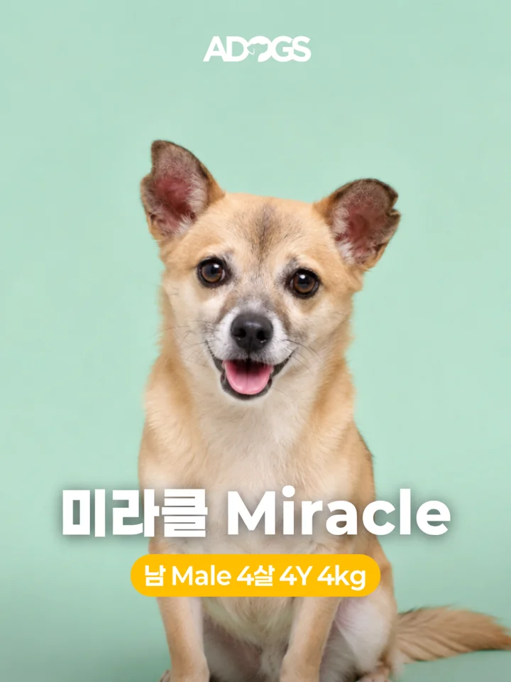 미라클 1