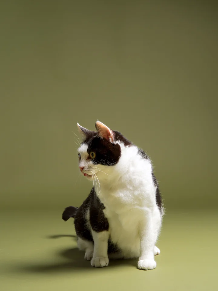 자유 9