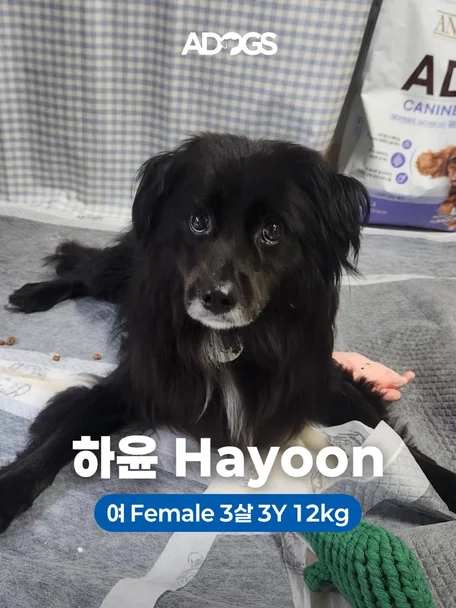 하윤