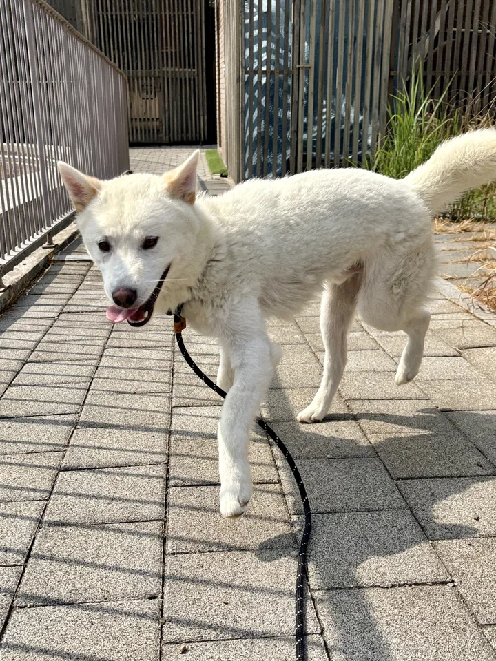 강낭 6