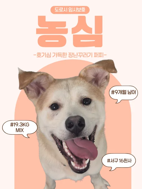 농심