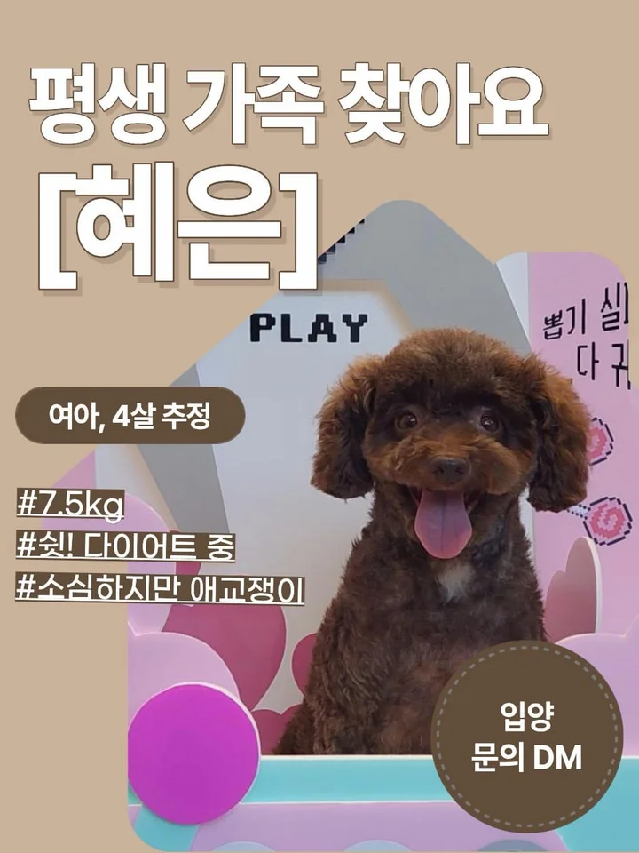 혜은 1