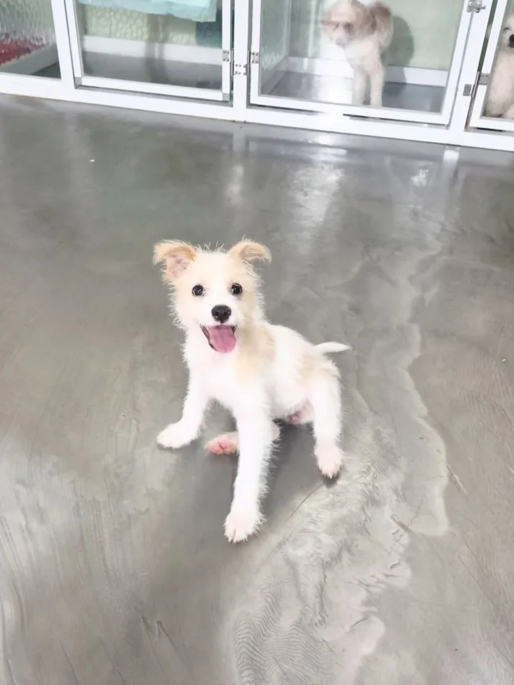 토순이 5