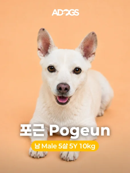 포근