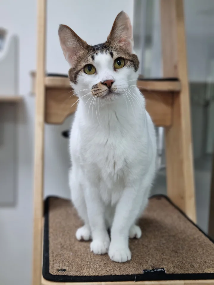 봉봉 3
