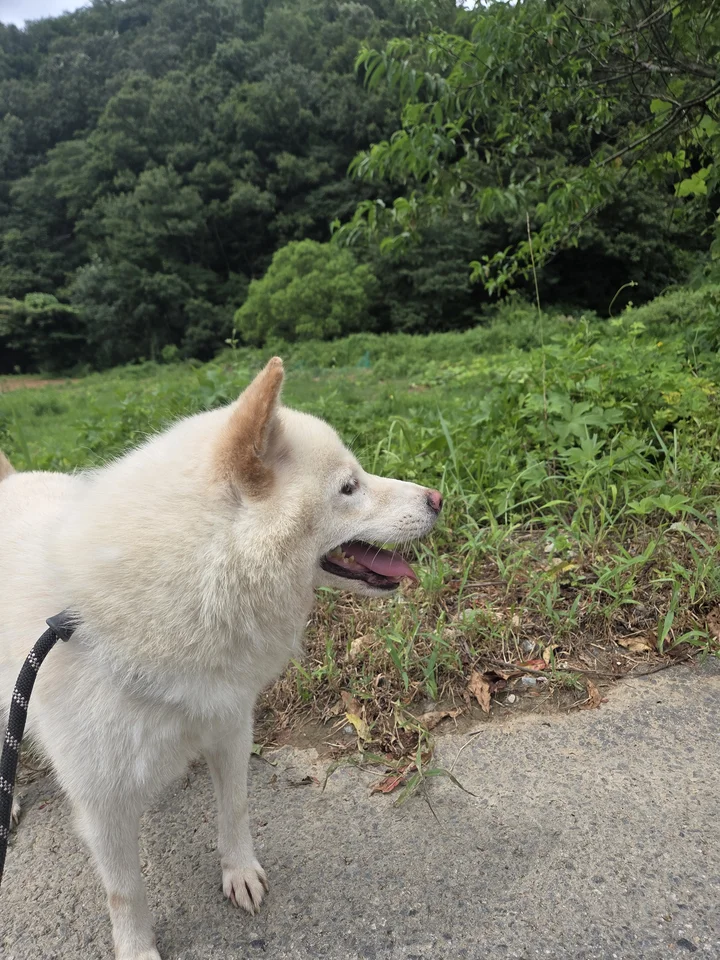 별이 17