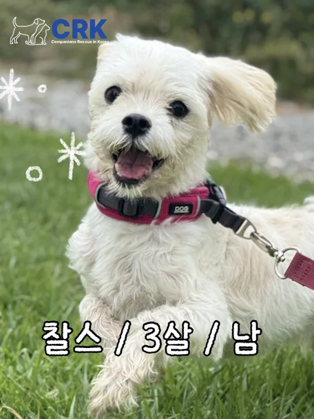찰스