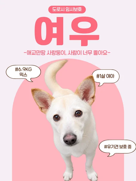 여우