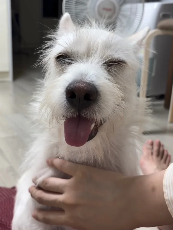 찬란 3