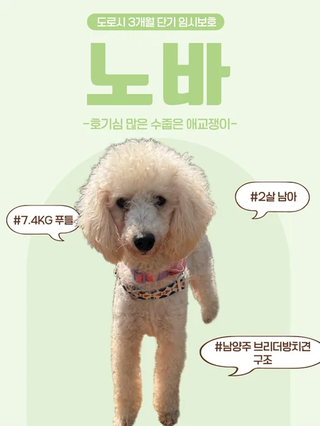 노바