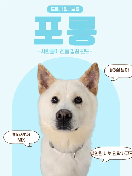 포롱