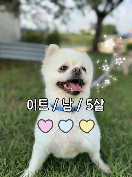 이트