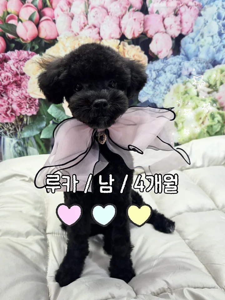 루카 1