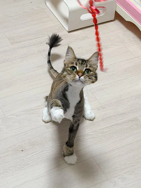 크리스