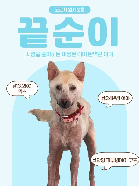 끝순이