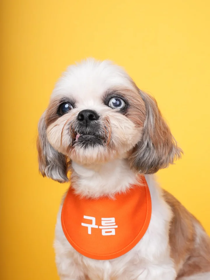 구름 5