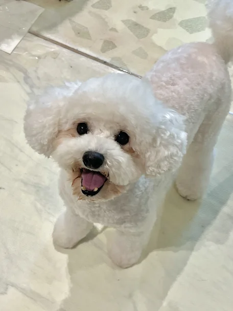 나랑