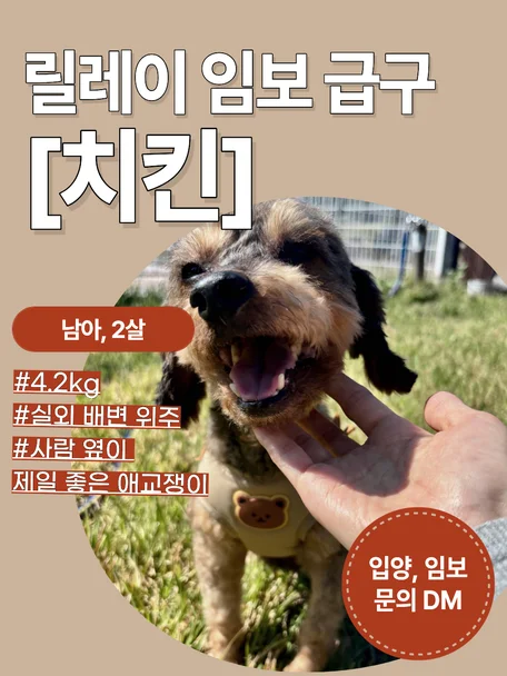 치킨
