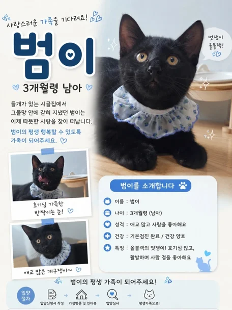 범이