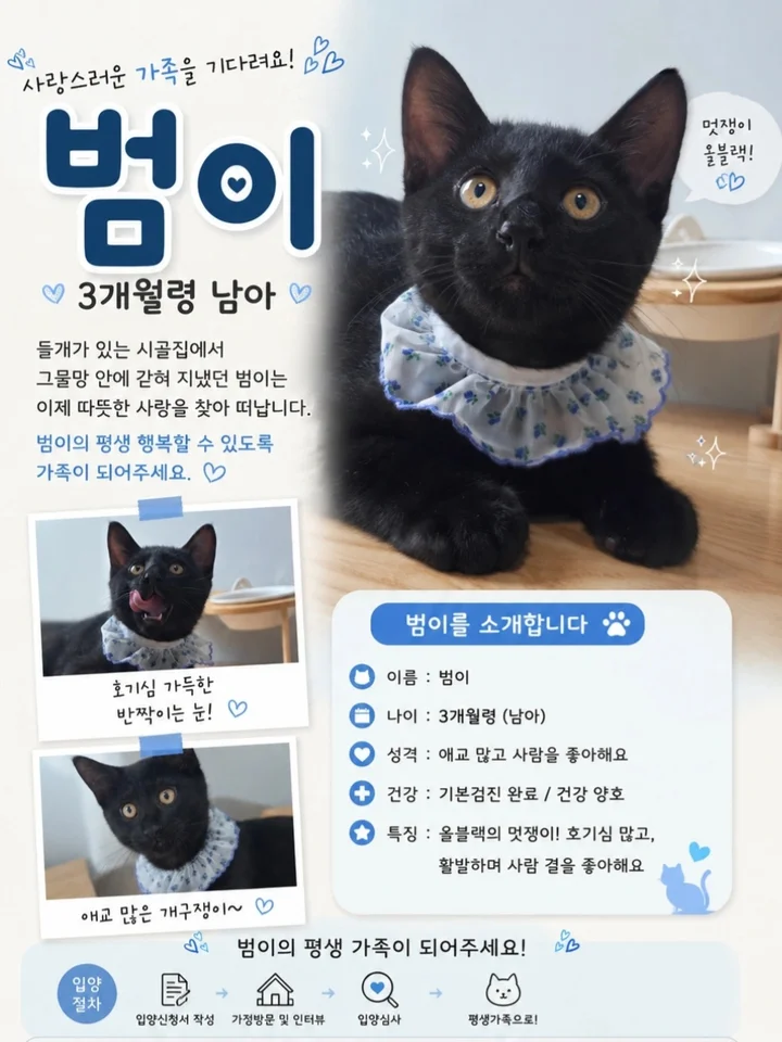 범이