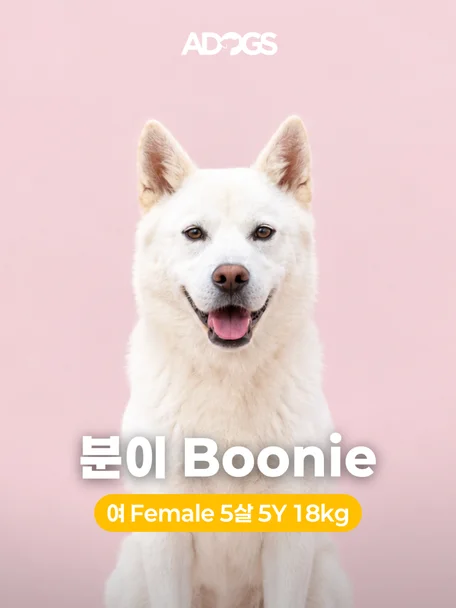 분이
