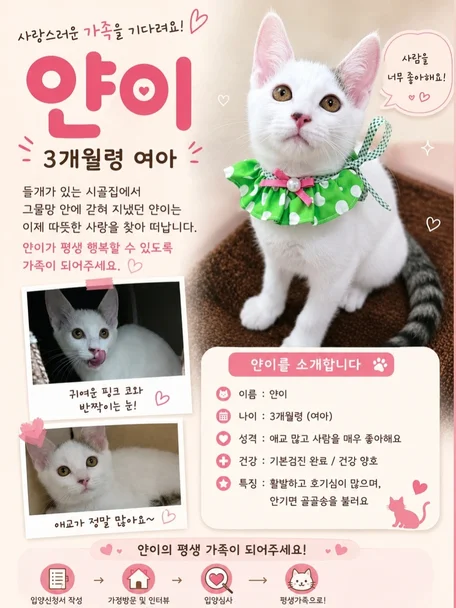 얀이